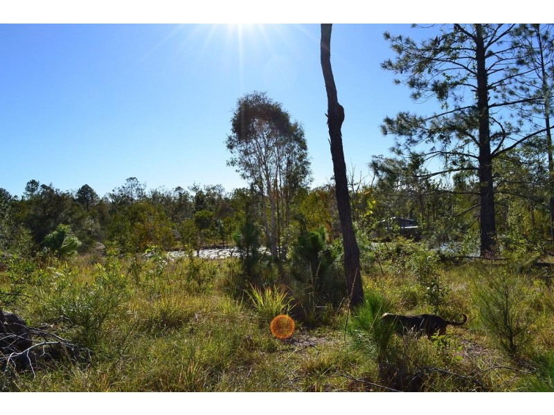221 Yaxleys Road, Byfield QLD 4703