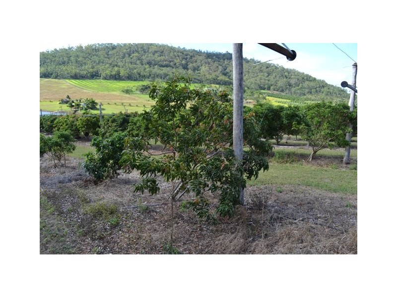 124 Evans Road, Bungundarra QLD 4703