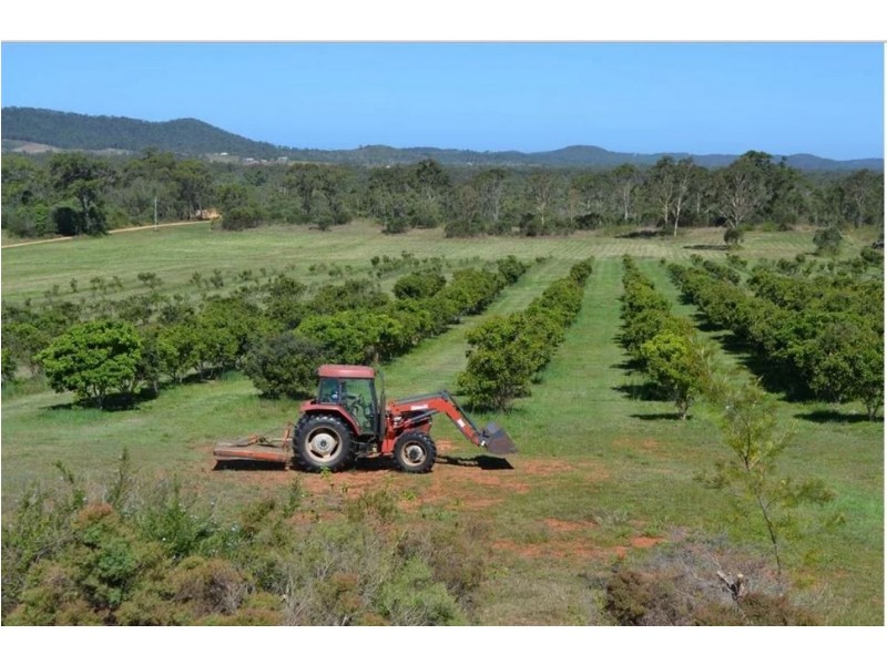 410 Tanby Post Office Road, Bondoola QLD 4703