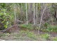 2428 Byfield Road, Byfield QLD 4703