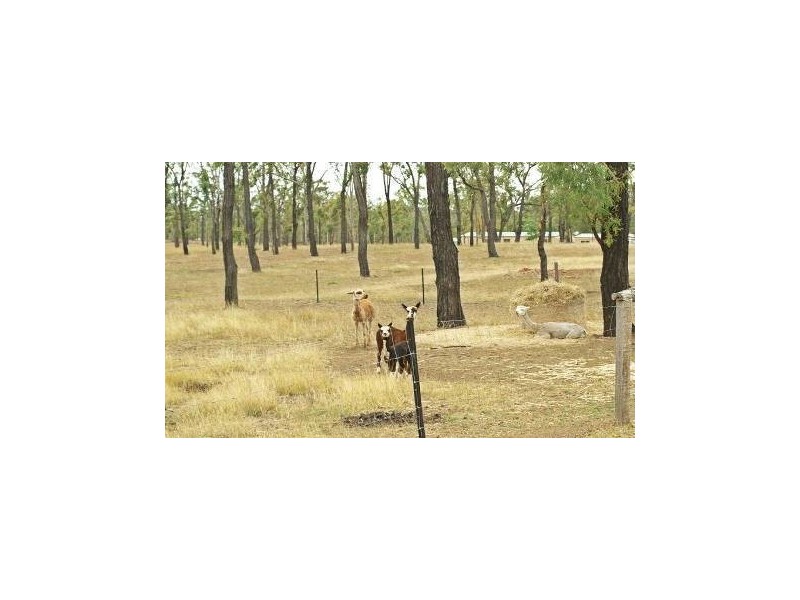 66 Dodson Lane, Cawarral QLD 4702