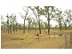 66 Dodson Lane, Cawarral QLD 4702