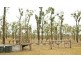 66 Dodson Lane, Cawarral QLD 4702