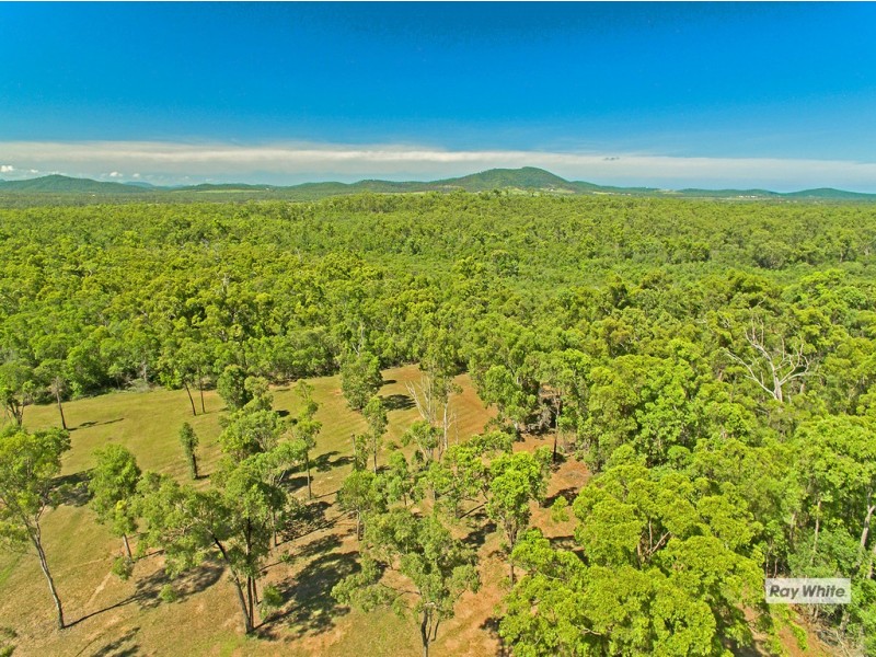 152 Mark Road, Bondoola QLD 4703