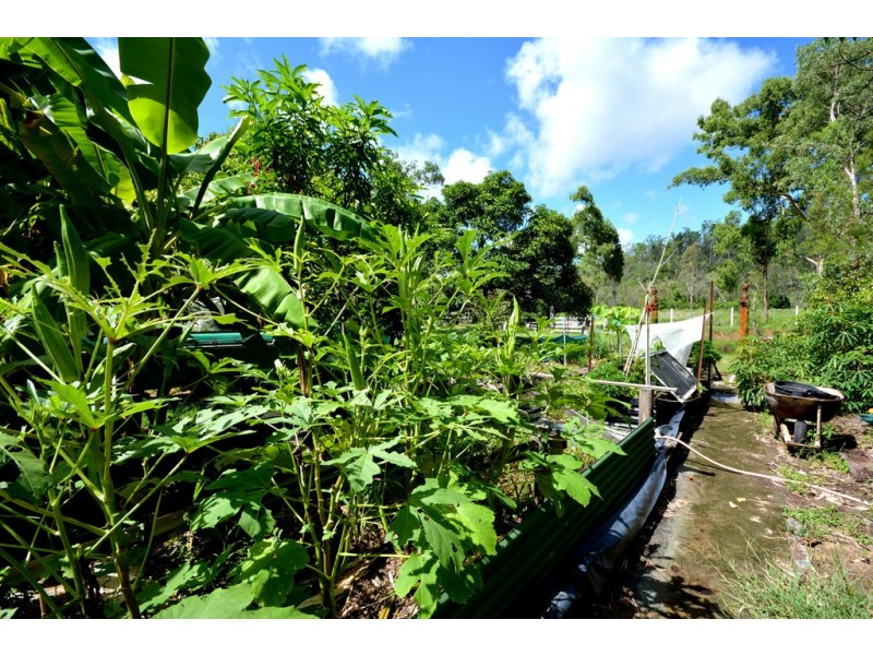 328 Sleipner Road, Mount Chalmers QLD 4702