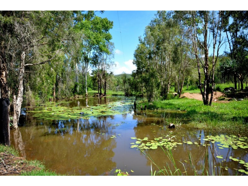 328 Sleipner Road, Mount Chalmers QLD 4702