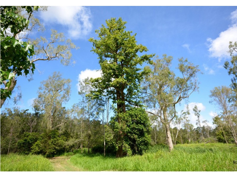 328 Sleipner Road, Mount Chalmers QLD 4702