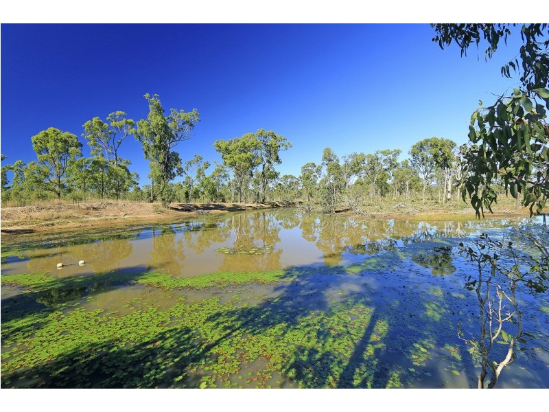 1560 Yeppoon Road, Mulara QLD 4703