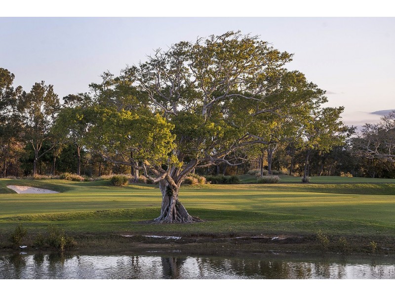 7632 Fairway Boulevard, Hope Island QLD 4212