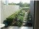 7511 Springfield Drive, Hope Island QLD 4212