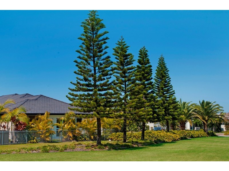 2816 Gracemere Cct East, Hope Island QLD 4212