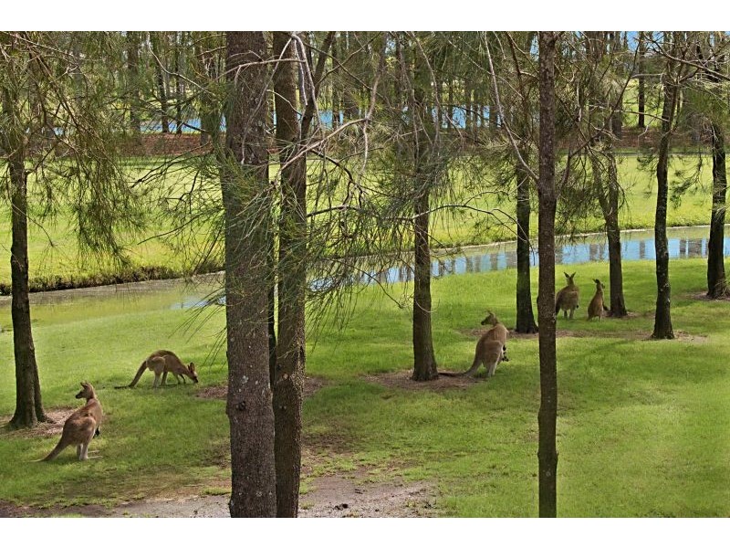 32 Rhodium Crescent, Hope Island QLD 4212