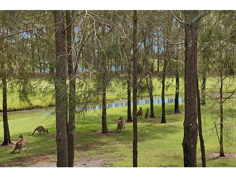 32 Rhodium Crescent, Hope Island QLD 4212