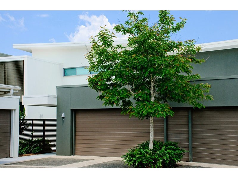 7529 Springfield Drive, Hope Island QLD 4212
