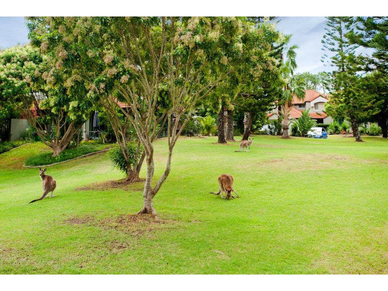 121/19 Santa Barbara Road, Hope Island QLD 4212