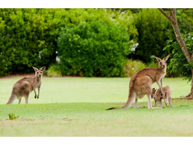 121/19 Santa Barbara Road, Hope Island QLD 4212