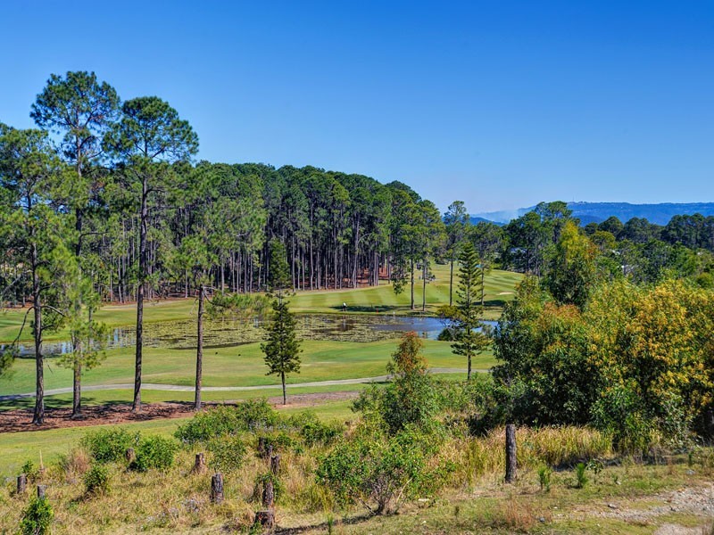 3043 Forest Hills Drive, Sanctuary Cove QLD 4212