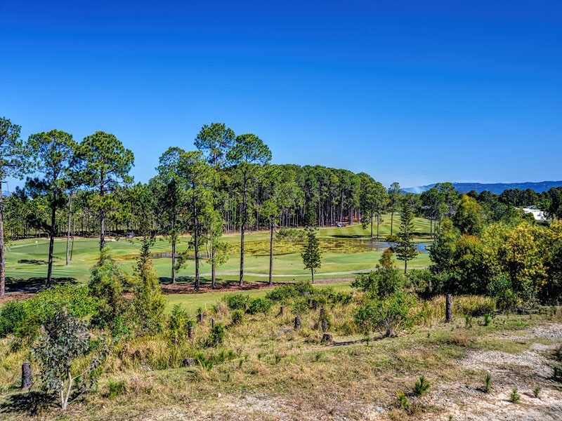 3043 Forest Hills Drive, Sanctuary Cove QLD 4212