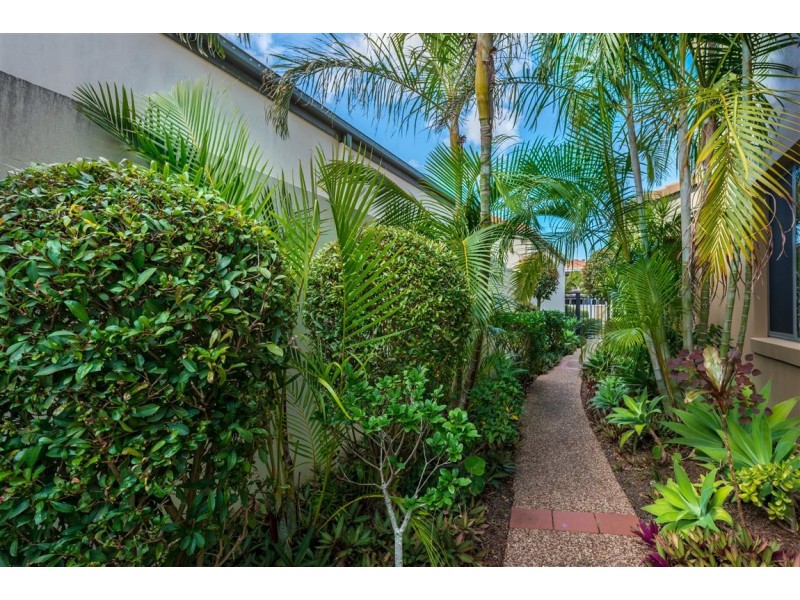 31 Lee-Anne Crescent, Helensvale QLD 4212