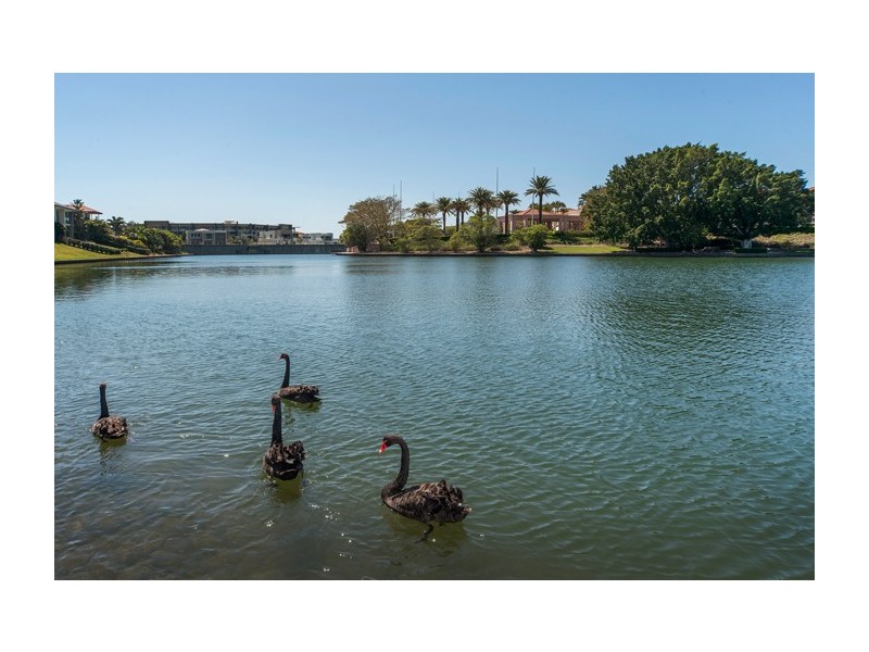 6177 Murten Court, Hope Island QLD 4212