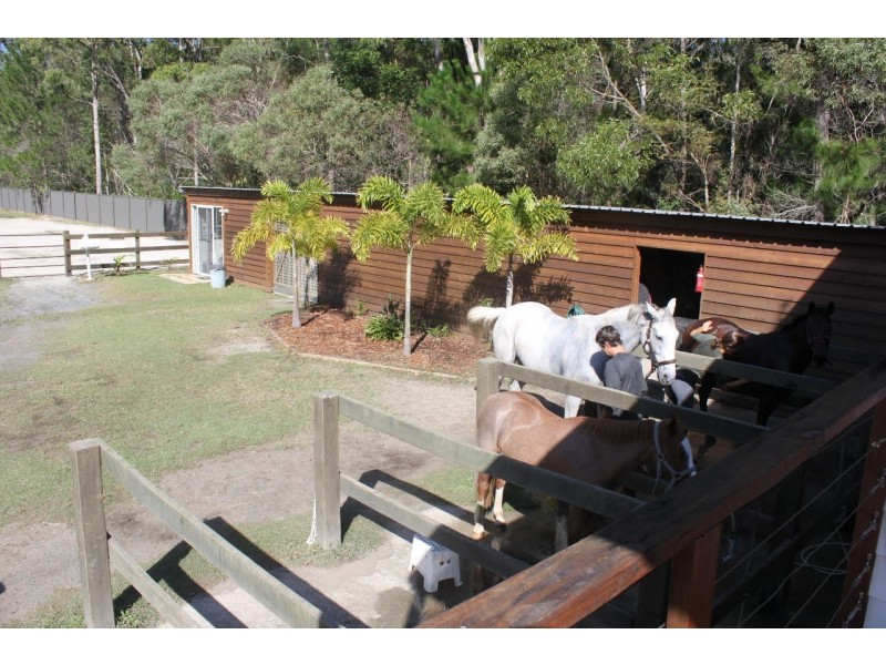 147 Crescent Avenue, Hope Island QLD 4212