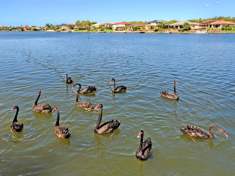 33 Glenwater Crescent, Helensvale QLD 4212