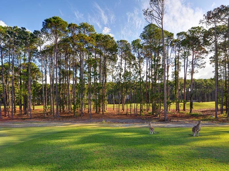 2257 Banksia Lakes Drive, Sanctuary Cove QLD 4212