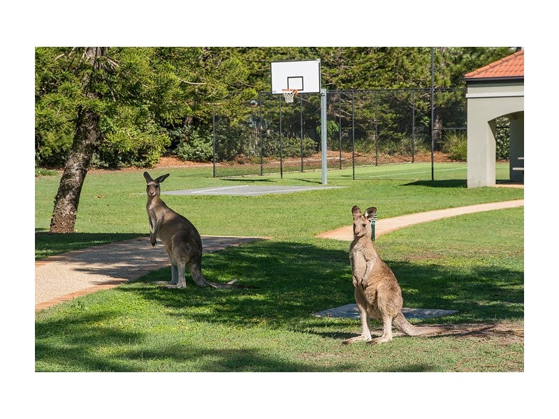 57/19 Santa Barbara Road, Hope Island QLD 4212