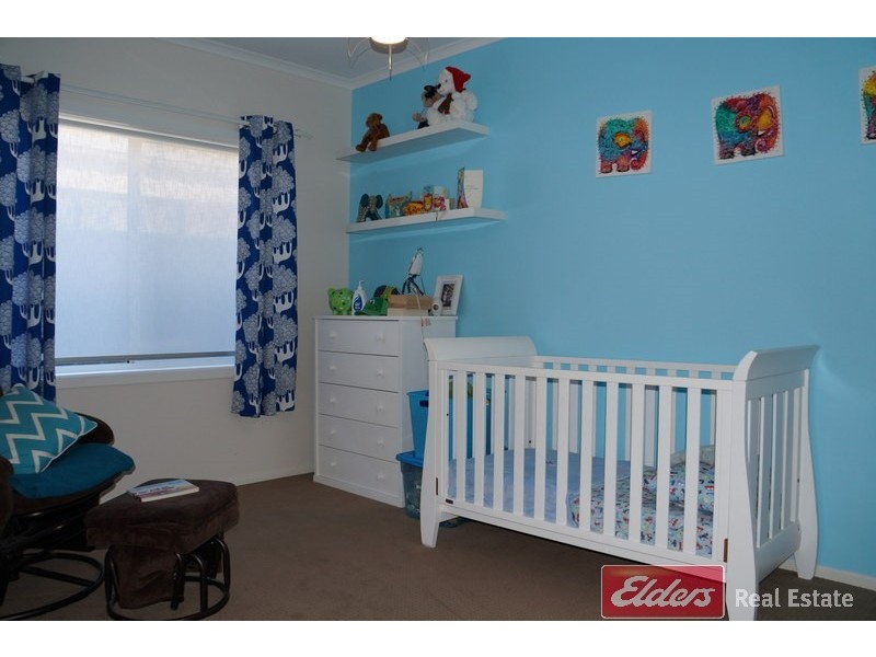 103 Shoalhaven Circuit, Mawson Lakes SA 5095