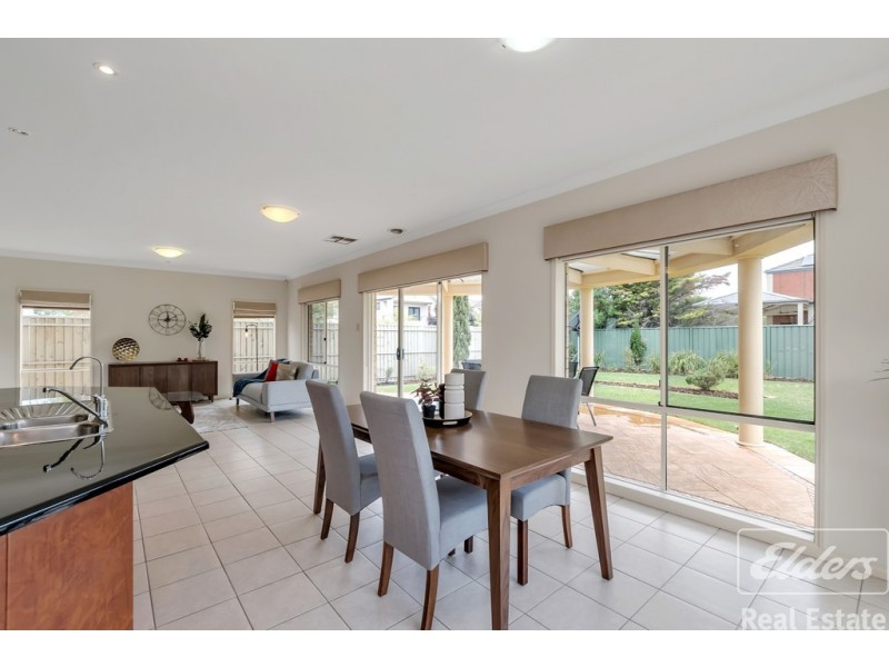 103 Shearwater Drive, Mawson Lakes SA 5095