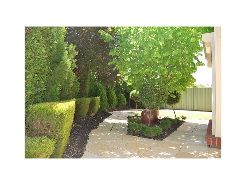 33 The Walk, Mawson Lakes SA 5095