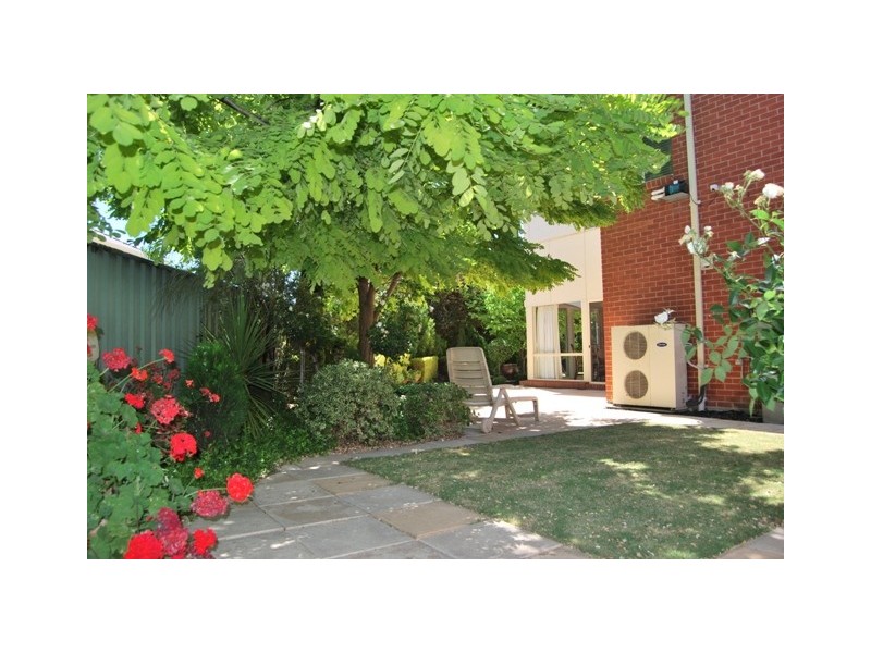 33 The Walk, Mawson Lakes SA 5095