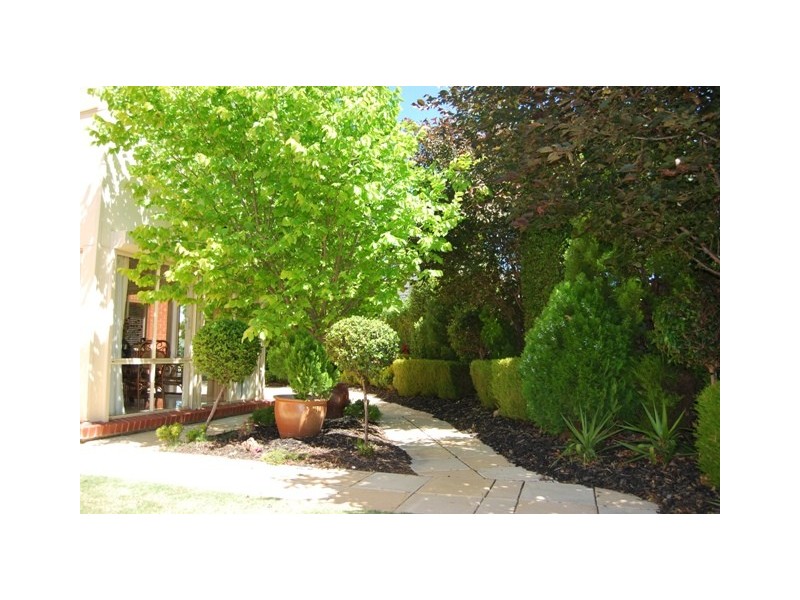 33 The Walk, Mawson Lakes SA 5095