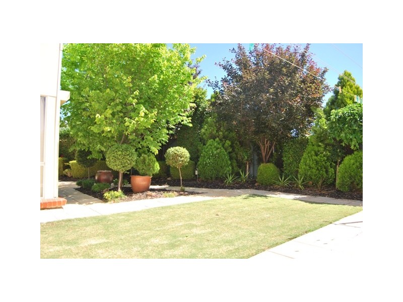 33 The Walk, Mawson Lakes SA 5095