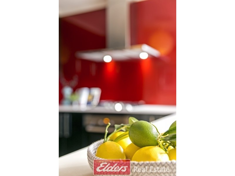 2 Carrail Grove, Greenwith SA 5125