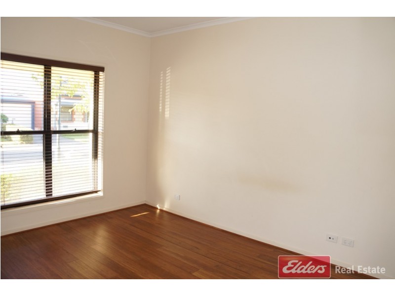 19 Newland Way, Mawson Lakes SA 5095