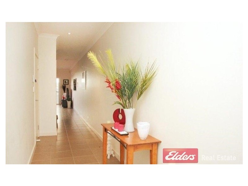 8 Mackenzie Circuit, Mawson Lakes SA 5095