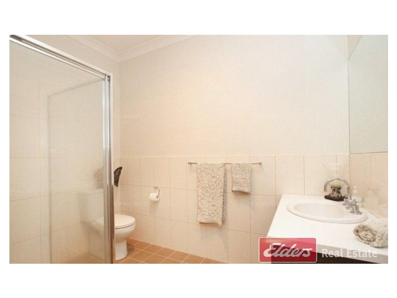 8 Mackenzie Circuit, Mawson Lakes SA 5095