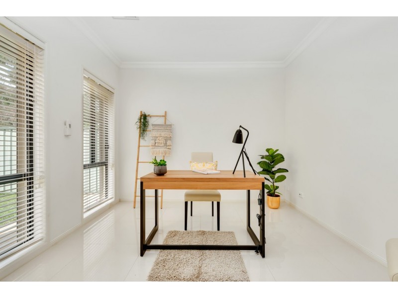 11 Creekview Drive, Mawson Lakes SA 5095