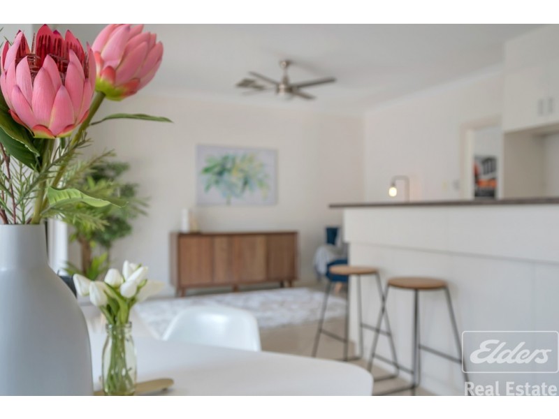 28 Windermere Crescent, Mawson Lakes SA 5095