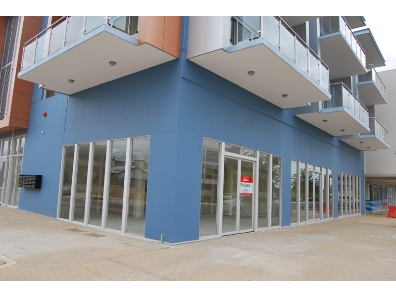 103 Elder Drive, Mawson Lakes SA 5095