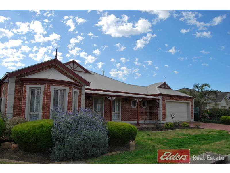 7 Heron Walk, Mawson Lakes SA 5095