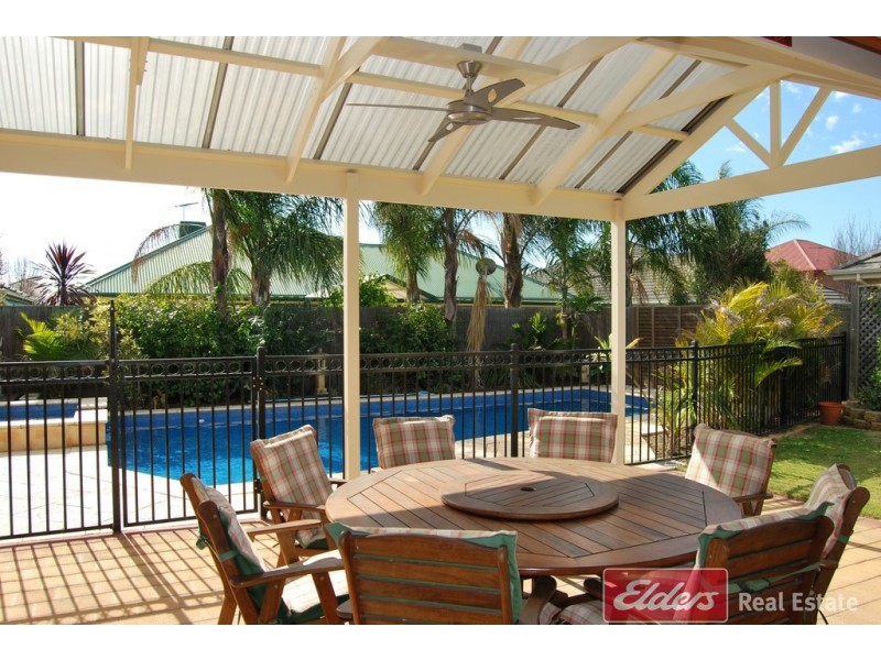 7 Heron Walk, Mawson Lakes SA 5095