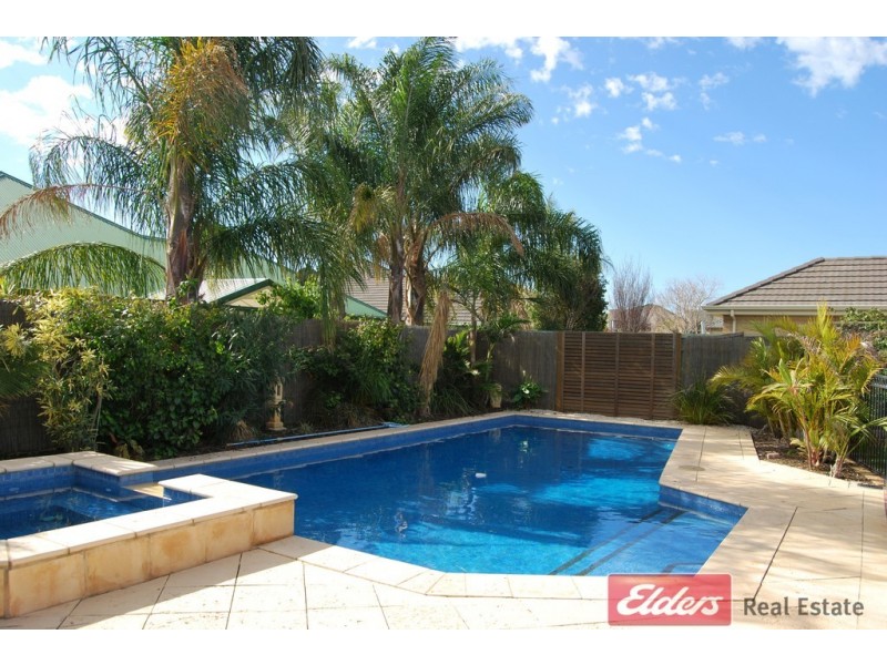 7 Heron Walk, Mawson Lakes SA 5095