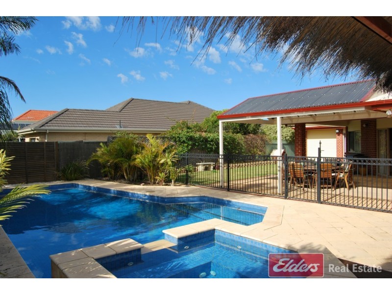 7 Heron Walk, Mawson Lakes SA 5095