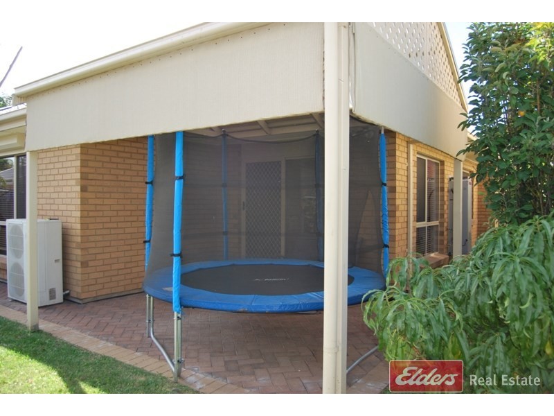 6 Eyre Court, Mawson Lakes SA 5095