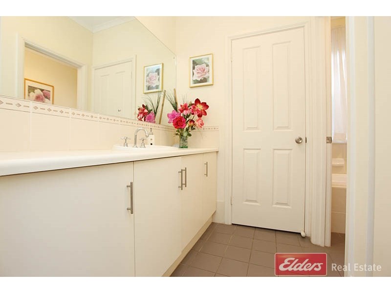 12 Chapman Court, Mawson Lakes SA 5095