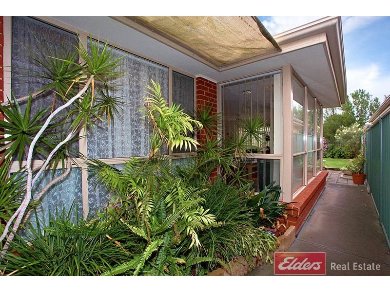 12 Chapman Court, Mawson Lakes SA 5095