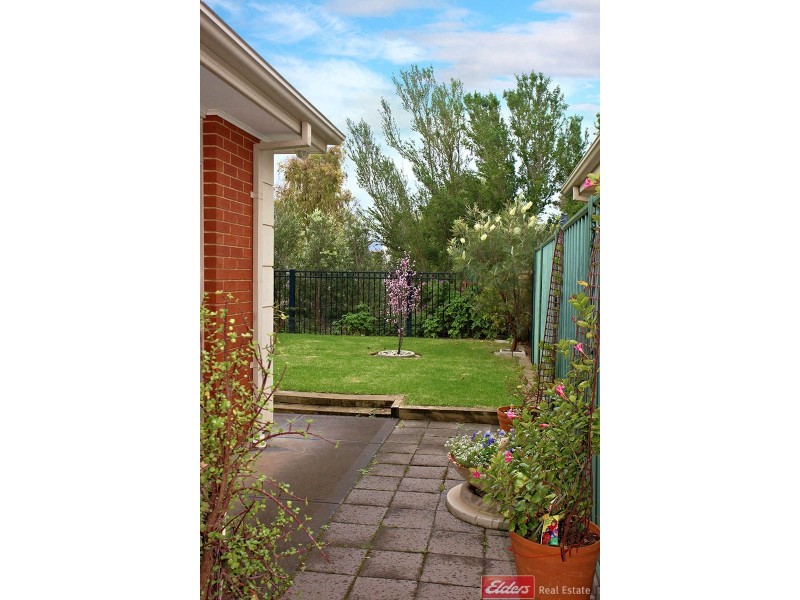 12 Chapman Court, Mawson Lakes SA 5095