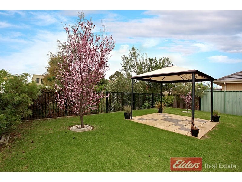 12 Chapman Court, Mawson Lakes SA 5095